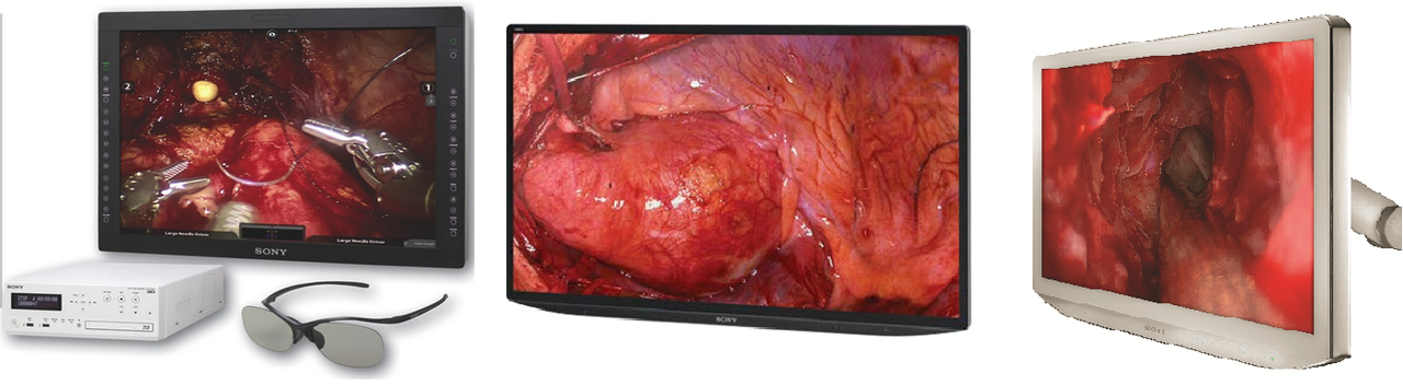 Sony Medical Grade Video Monitors